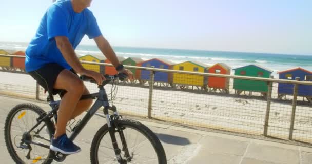 ビーチの遊歩道で自転車に乗ってアクティブな白人の男性の側面図 背景のビーチ小屋 — ストック動画
