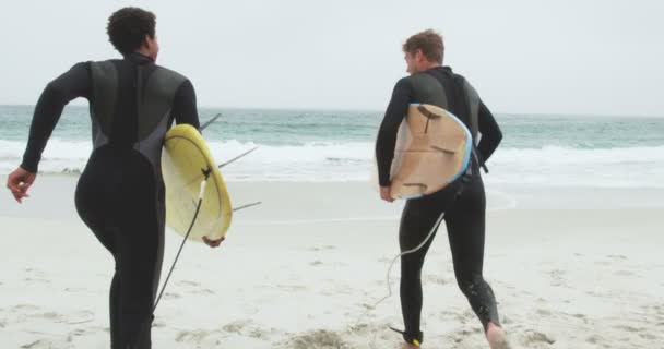 Hátsó Kilátás Két Férfi Szörfös Fut Együtt Szörfdeszka Strandon Kölcsönhatásba — Stock videók