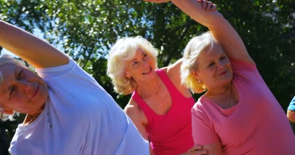 Huzurevi Bahçesinde Egzersiz Yapan Aktif Melez Yaşlı Insanların Görüntüsü Birlikte — Stok video