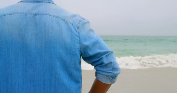 Vista Trasera Del Hombre Afroamericano Pie Playa Está Mirando Mar — Vídeos de Stock