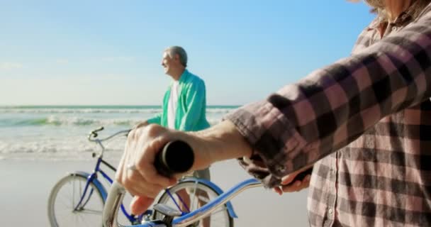 Ενεργό Ανώτερο Καυκάσιο Ζευγάρι Που Στέκεται Ποδήλατο Στην Παραλία Αλληλεπιδρούν — Αρχείο Βίντεο
