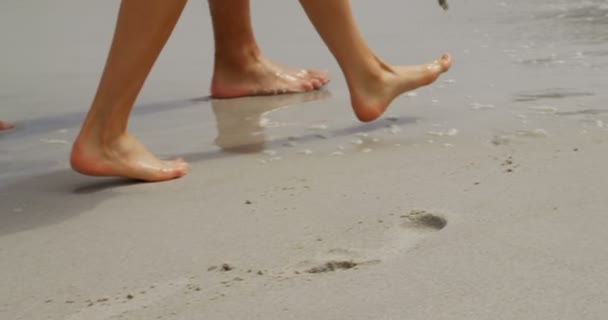 Low Section Couple Walking Barefoot Beach Spending Time Together — Stock Video