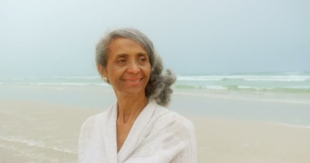 Front View Thoughtful Active Senior African American Woman Standing Beach — 图库视频影像
