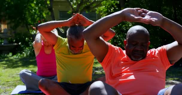 在疗养院的花园里 活跃混血老人练习瑜伽的正面景观 他们在一起冥想 — 图库视频影像