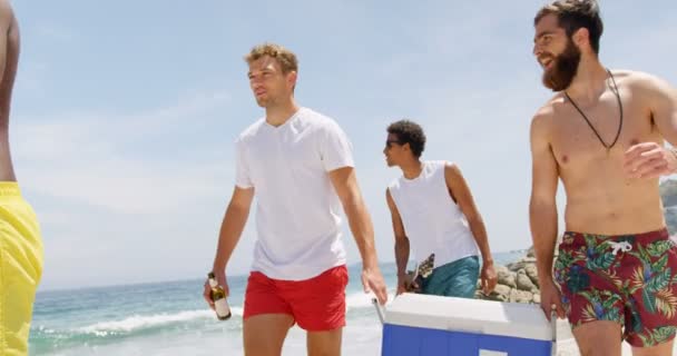 Amigos Masculinos Raza Mixta Llevando Una Caja Hielo Playa Caminan — Vídeo de stock