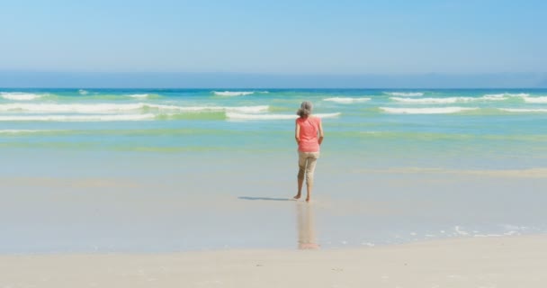 Vista Trasera Una Mujer Afroamericana Mayor Activa Caminando Hacia Mar — Vídeos de Stock