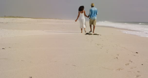 Vista Traseira Casal Afro Americano Andando Mãos Dadas Praia Eles — Vídeo de Stock