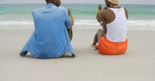 Заднього Виду Афроамериканців Пару Пити Ананасові Соки Пляжі Вони Взаємодіють — стокове відео