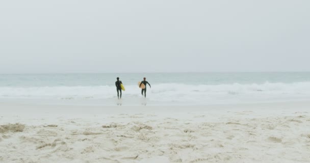 Achteraanzicht Van Twee Mannelijke Surfers Die Samen Met Surfplank Het — Stockvideo