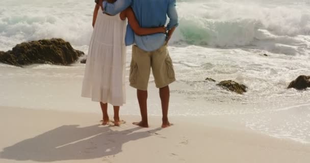 Vista Posteriore Della Coppia Afroamericana Piedi Insieme Sulla Spiaggia Passano — Video Stock