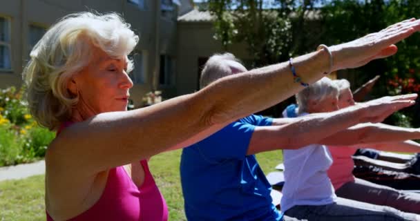 Zijaanzicht Van Actieve Mixed Race Senior Mensen Die Yoga Uitvoeren — Stockvideo