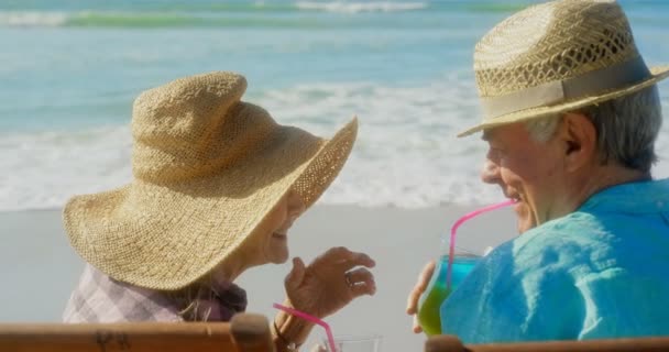 ビーチでカクテルを飲むアクティブな白人カップルの背面図 — ストック動画