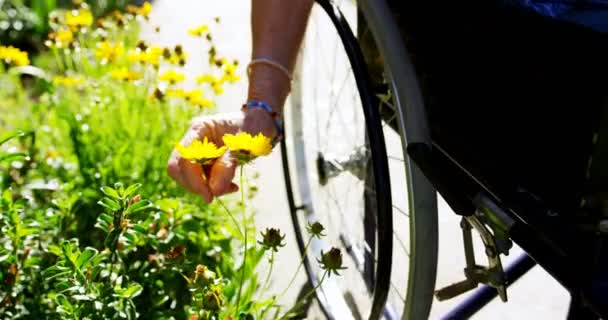 Närbild Funktionshindrade Senior Kvinna Som Håller Blomma Trädgården Äldreboende Hon — Stockvideo