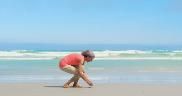 Seitenansicht Einer Aktiven Afrikanisch Amerikanischen Seniorin Die Muscheln Strand Aufsammelt — Stockvideo