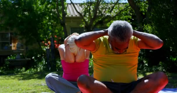 Huzurevinin Bahçesinde Yoga Yapan Aktif Karışık Irklı Yaşlıların Görünümü Birlikte — Stok video