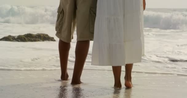 Achteraanzicht Van Afro Amerikaanse Echtpaar Staan Samen Het Strand Besteden — Stockvideo