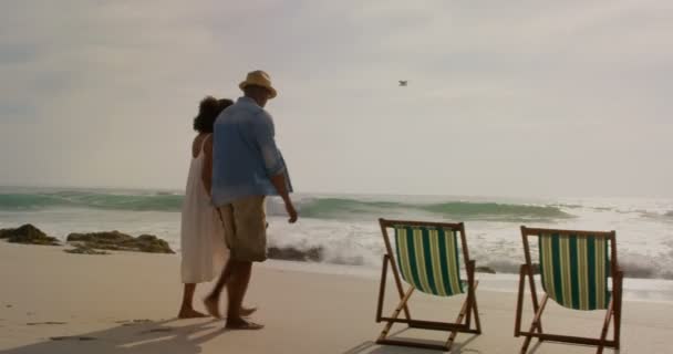 Visão Traseira Casal Afro Americano Relaxando Juntos Uma Espreguiçadeira Praia — Vídeo de Stock