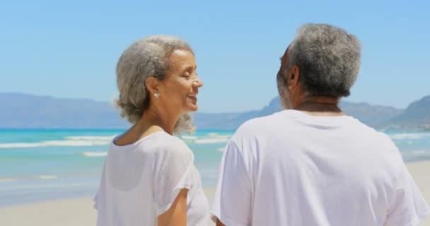 Widok Boku Szczęśliwego Aktywnego Seniora African American Para Stoi Plaży — Wideo stockowe