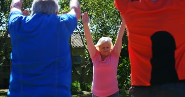 Huzurevi Bahçesinde Yoga Yapan Aktif Melez Yaşlılar Birlikte Egzersizi Yapıyorlar — Stok video