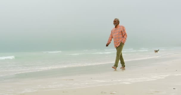 Sahilde Yürürken Cepte Ile Aktif Üst Düzey Afro Amerikan Adam — Stok video