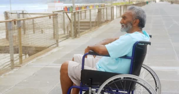 Gezinti Üzerinde Tekerlekli Sandalyede Düşünceli Engelli Aktif Üst Düzey Afro — Stok video