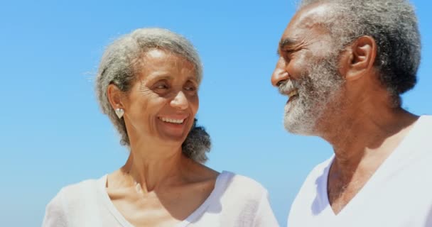 Vooraanzicht Van Happy Active Senior Afrikaans Amerikaans Koppel Staande Het — Stockvideo