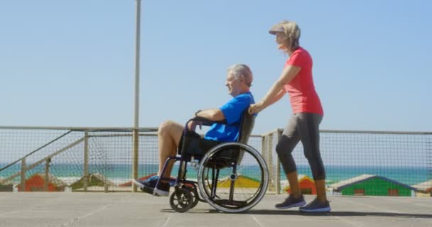 ビーチで車椅子で先輩男性を押す現役の白人女性の側面図 彼らはお互いに相互作用している4K — ストック動画