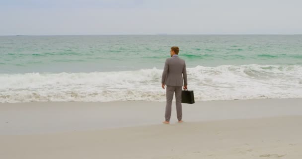 Vista Trasera Del Hombre Negocios Caucásico Pie Con Maletín Playa — Vídeos de Stock