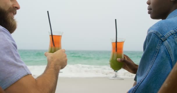 Vista Traseira Casal Raças Mistas Que Brindam Bebidas Praia Eles — Vídeo de Stock
