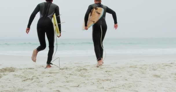 Achteraanzicht Van Twee Mannelijke Surfers Die Samen Met Surfplanken Het — Stockvideo