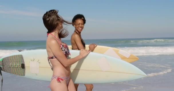 Vista Lateral Jovens Amigos Femininos Multi Étnicos Conversando Sorrindo Enquanto — Vídeo de Stock