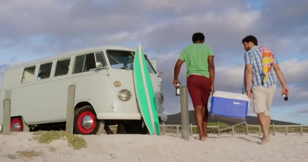 Rear View Multi Ethnic Male Friends Carrying Cooler Box Beach — Stock Video