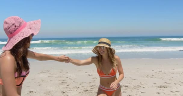 Bikinili Genç Beyaz Bayan Arkadaşların Gülümseyip Güneş Işığı Yla Plajda — Stok video