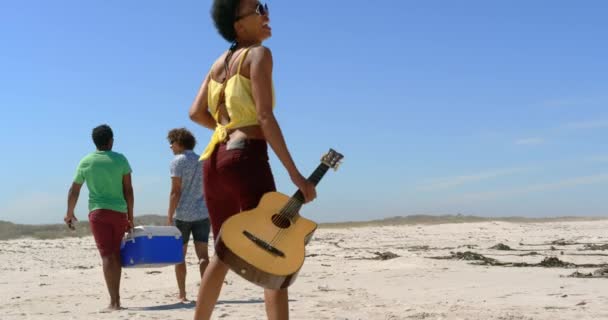 太陽の光4Kでビーチでピクニックアイテムを運ぶ若い多民族の友人のグループの背面図 — ストック動画