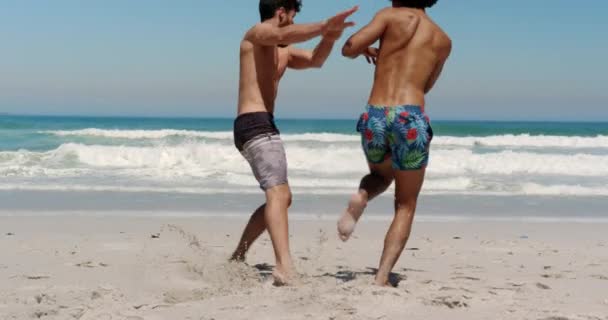 太陽の光4Kのビーチで海に向かって走る若い多民族男性の友人の背面図 — ストック動画
