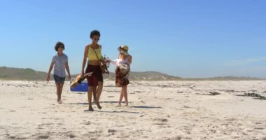 Güneşli 4k sahilde piknik öğesi taşıyan genç çok etnik arkadaş grubunun ön görünümü