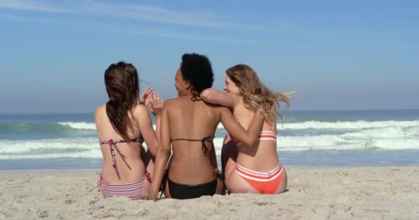 后视年轻的多民族女性朋友互动 坐在一起坐在沙滩上的阳光4K — 图库视频影像