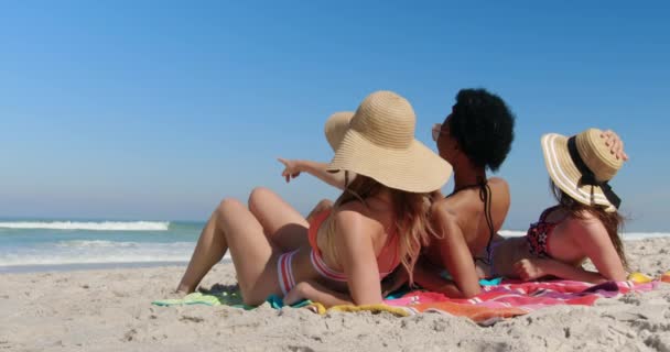 太陽の光の中でビーチで一緒にリラックスしながら お互いに交流する若い多民族女性の友人の背面図 — ストック動画