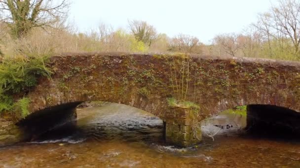 阳光明媚的一天 旧桥和溪流的概述 美丽的风景背景 — 图库视频影像