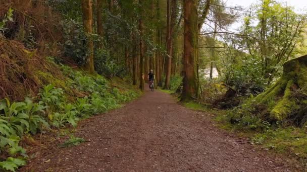 Vue Angle Élevé Homme Faisant Vélo Sur Sentier Entouré Arbres — Video