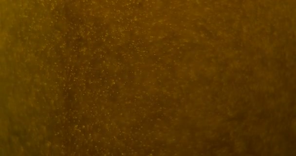 Gros plan du verre de bière avec des bulles mobiles. 4k 