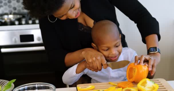 アフリカ系アメリカ人の母親と息子がキッチンで野菜を切る様子を正面から眺めます — ストック動画