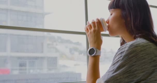 Seitenansicht Einer Kaukasischen Geschäftsfrau Die Kaffee Trinkt Während Sie Fenster — Stockvideo