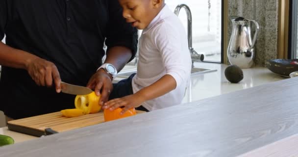 Vista Lateral Del Padre Hijo Afroamericanos Cortando Pimiento Cocina Casa — Vídeo de stock