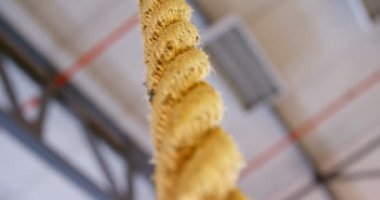 Fitness stüdyosunda asılı egzersiz ipi yakın çekim. Egzersiz için sarı makro halat. 4k