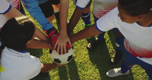 Groothoekbeeld Van Divers Vrouwelijk Voetbalteam Dat Zonnige Dag Hands Soccer — Stockvideo