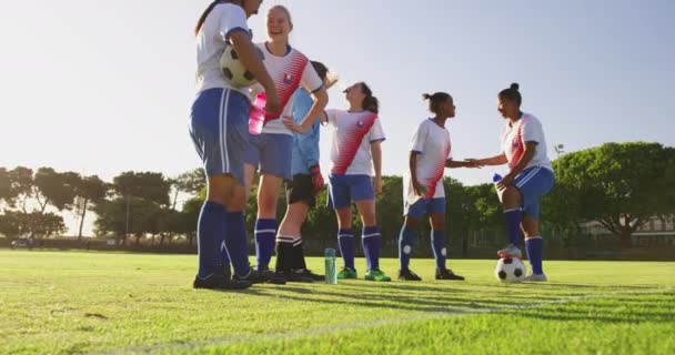 サッカー場4Kでボールを飲みながらお互いに話し合う休憩時間の多様な女子サッカーチームの側面図 — ストック動画