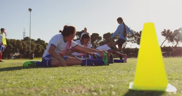 晴れた日のサッカー場でのトレーニング前に足を伸ばす多様な女子サッカー選手のサイドビュー — ストック動画