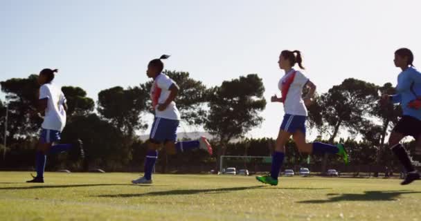 阳光明媚的一天 各家女足队员在足球场上奔跑的侧视图 — 图库视频影像