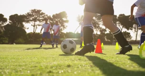 Vista Lateral Treinamento Equipe Futebol Feminino Diversificada Com Slalom Campo — Vídeo de Stock